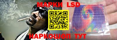 индика Новодвинск