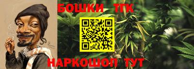 твердый Новокубанск