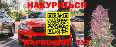 индика Новодвинск