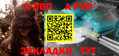 индика Новодвинск