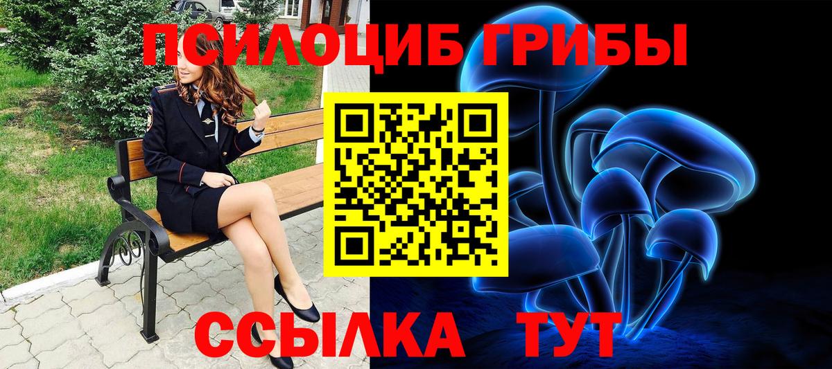 Псилоцибиновые грибы мицелий Сегежа